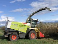 Claas Jaguar 890